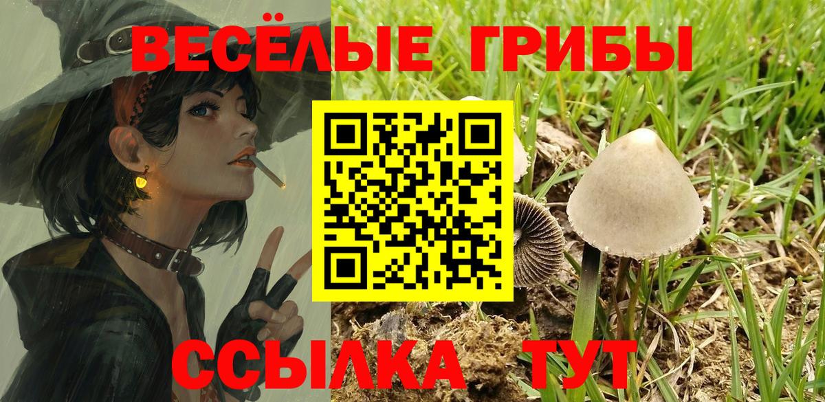 Галлюциногенные грибы GOLDEN TEACHER Сургут