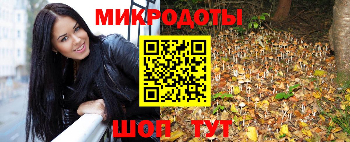 Псилоцибиновые грибы Psilocybine cubensis  Вход с VPN  Сургут 